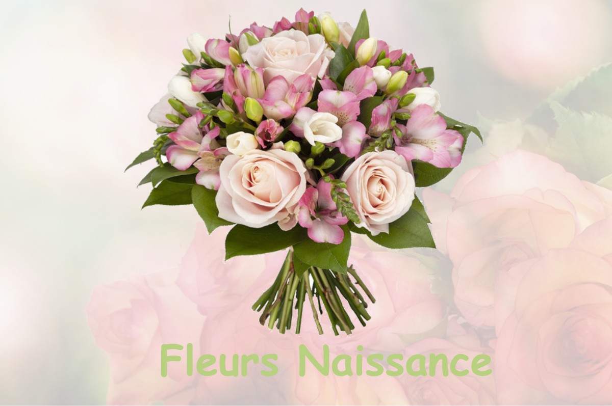 fleurs naissance SAINT-MARTIN-BELLEVUE